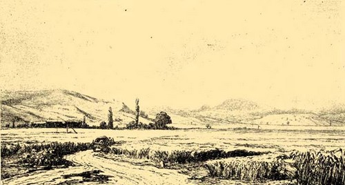 Árpád-föld az óbudai határban (L. H. Fischer  rajza) 