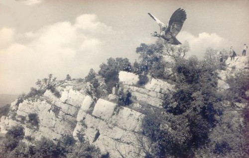 A bánhidai csata emlékműve (1964-ben)